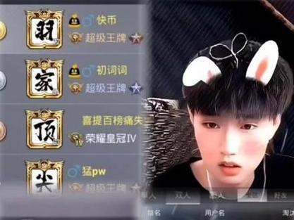 少羽