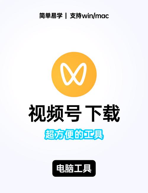 自动抓号器可提版