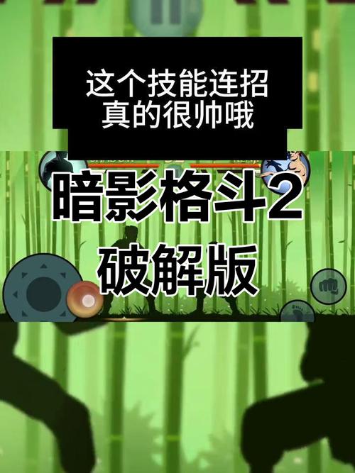 暗影格斗二无限