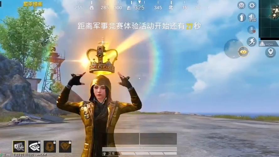 幻雾和平精英p