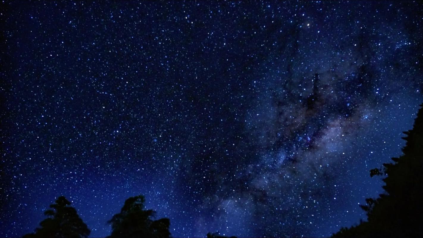 星空视频
