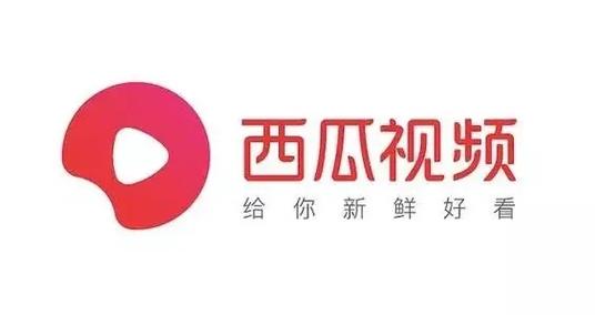 西瓜频道