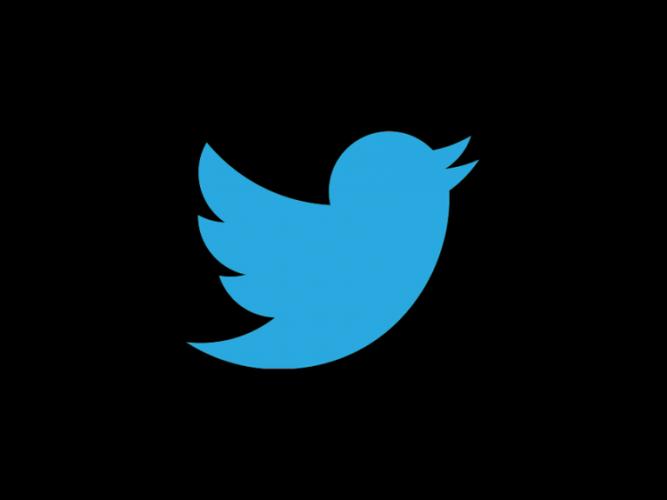 twitter蓝鸟版