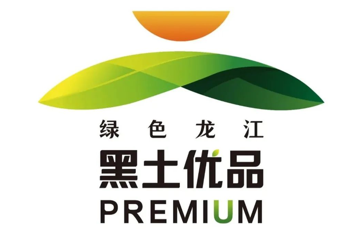 552448jm黑土重置版