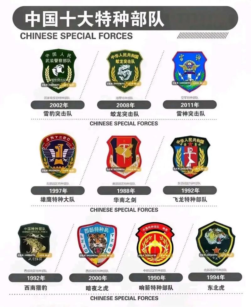 特种部队小组3