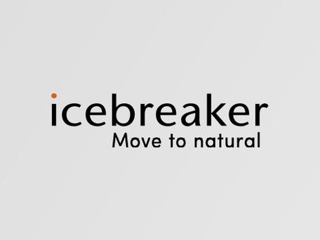 icescre汉化版