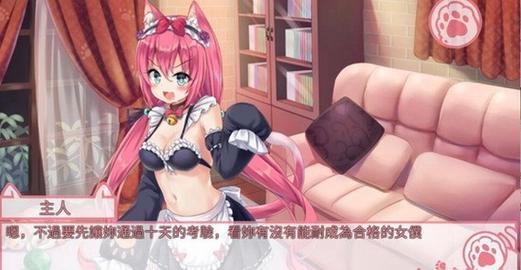 nekohiroim聚合盒子