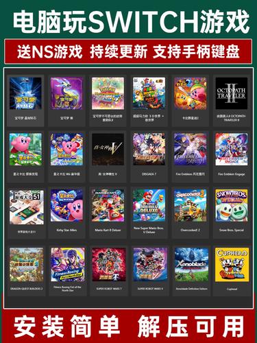 Switch龙专业版