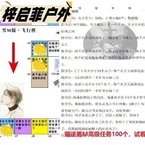 男慕飞行棋10