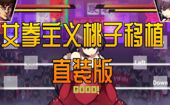 格斗少女桃子移