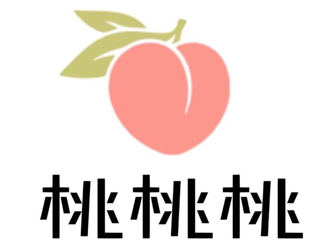 桃子君虚拟摄像头官方版