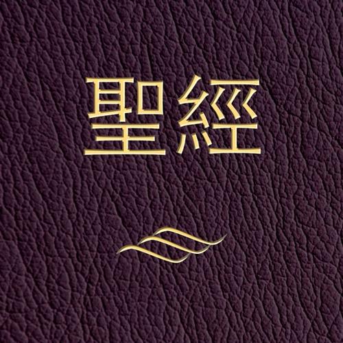 微圣经下载官网