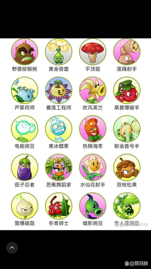 植物大战僵尸秦免费正版
