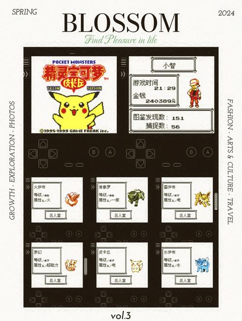 精灵宝可梦黄完美汉化版纯净版