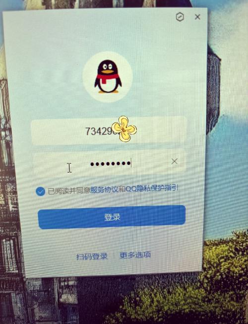 qq漫画修改版无限vip