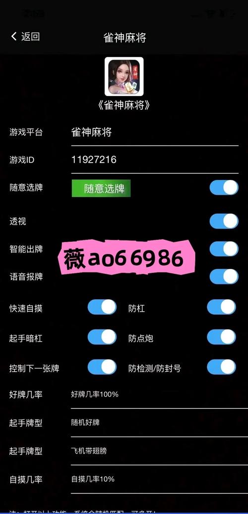 2024开挂辅