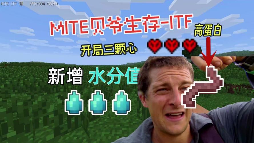 mite贝爷生