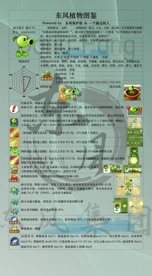豌豆内透直装