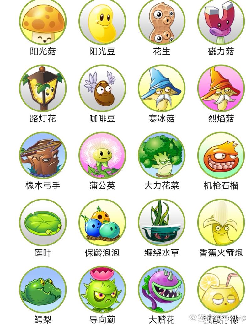 植物大战僵尸2国服内购版下载重制版