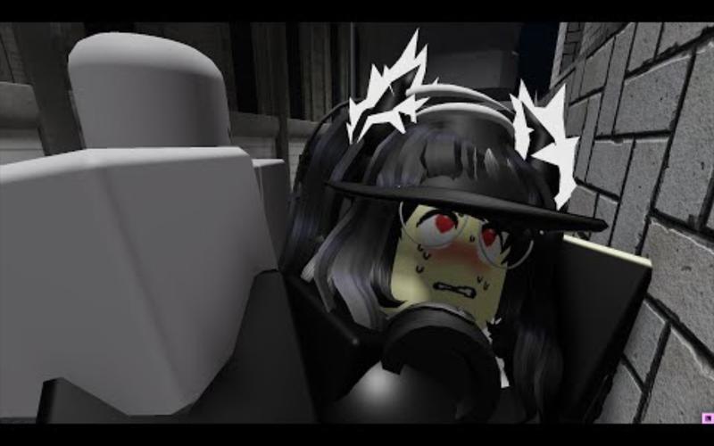 robloxr63动画观看季节版