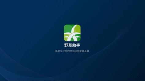 野草助手安卓手机版