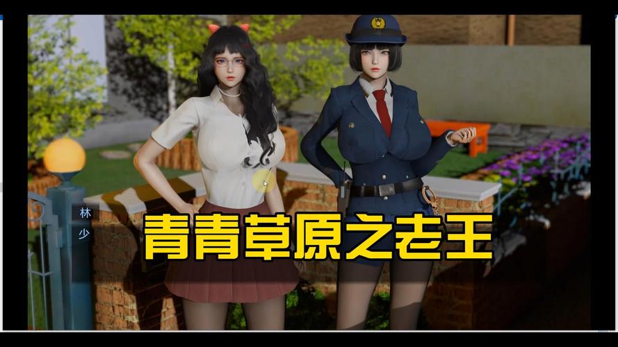 老王vnp