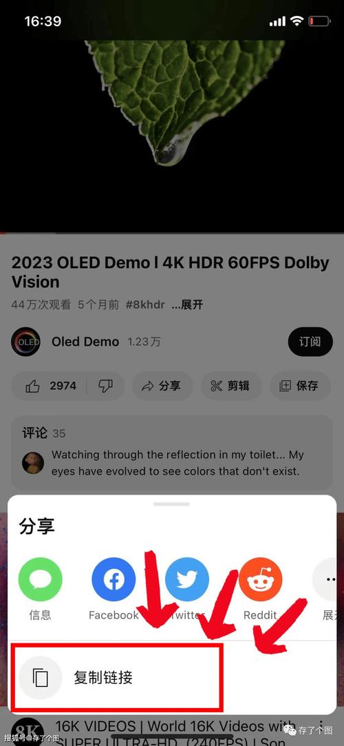 youtube国内版