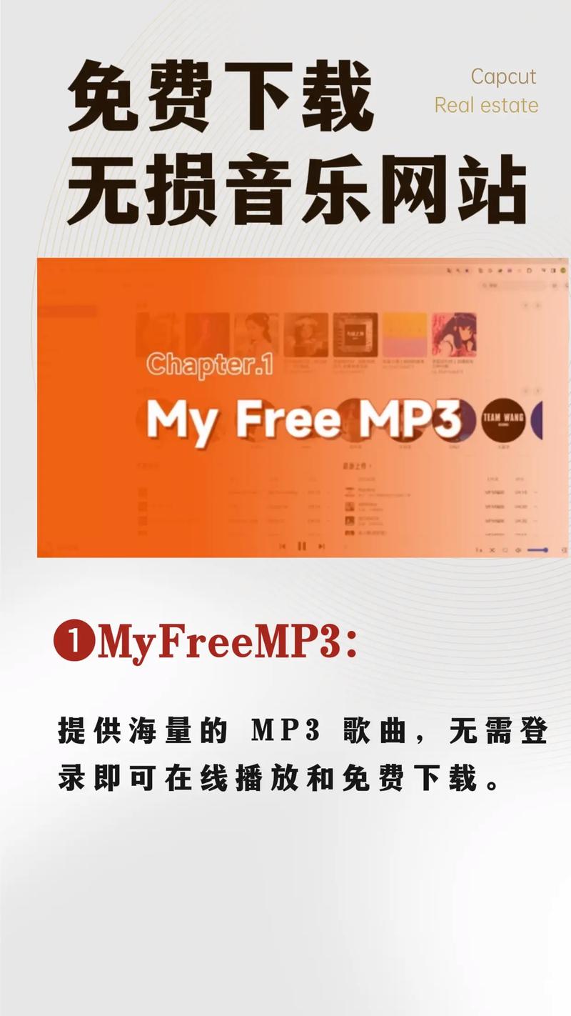 拾音人音乐网mp3免广告
