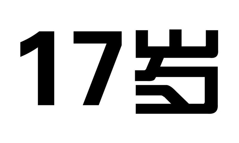 17岁破解