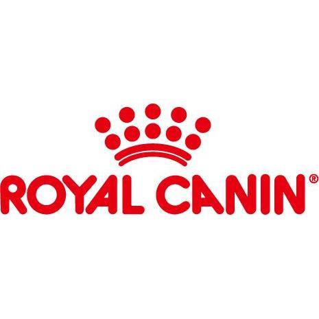 royal下载官方正版汉化版