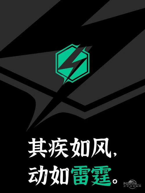 霹雳鲨加速器官网