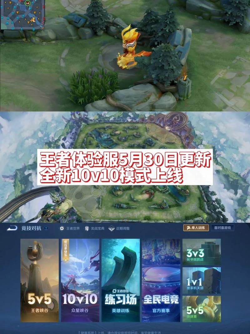 王者荣耀 体验服