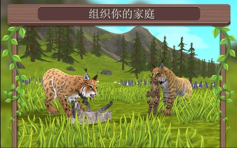 wildcra