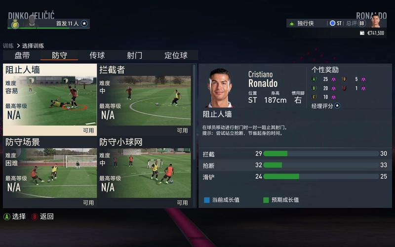 fifa个人生