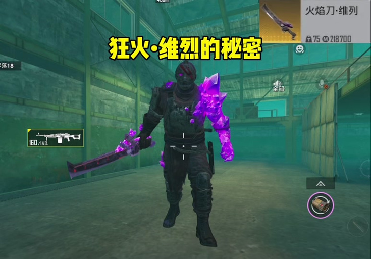 和平精英火焰鸟下载免费