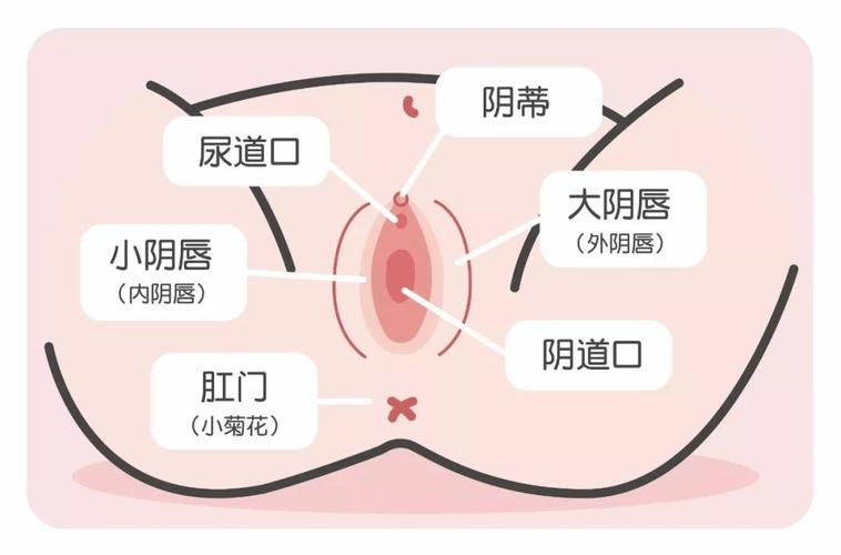 美女露尿口的软件