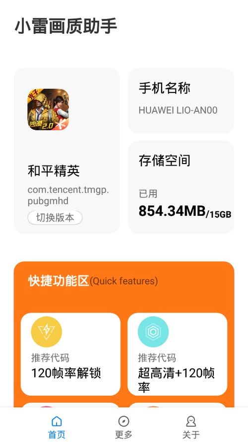 小雷我爱你画质