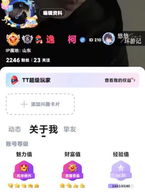 tt语音官方正免费无限制版