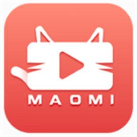 小猫宝盒