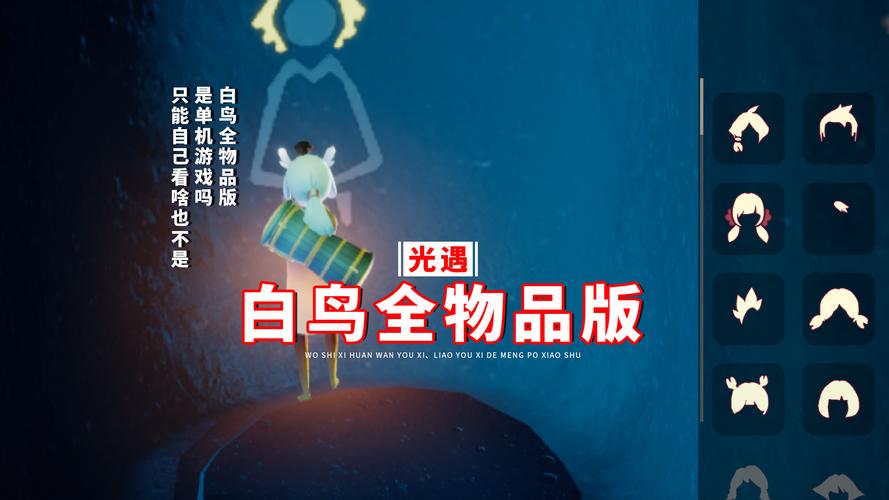 sky白鸟全物品版攻略书