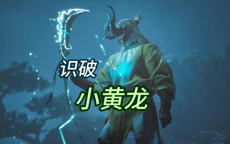 黄龙视频