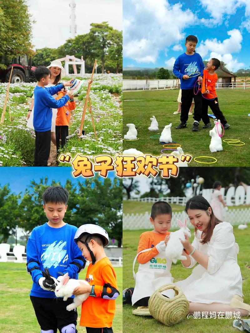 撸兔视频