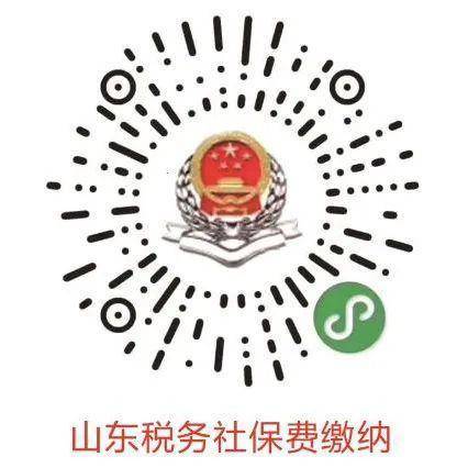 中国税务医保缴费无删减版