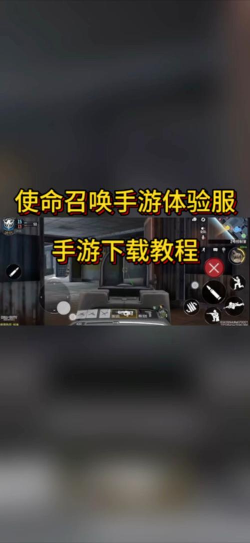 codmgfx画质助手中文版