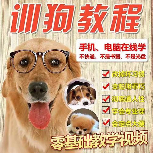 训狗软件