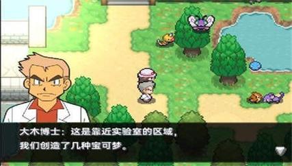 口袋妖怪黑白2作弊版