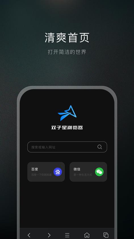 双子星浏览器免