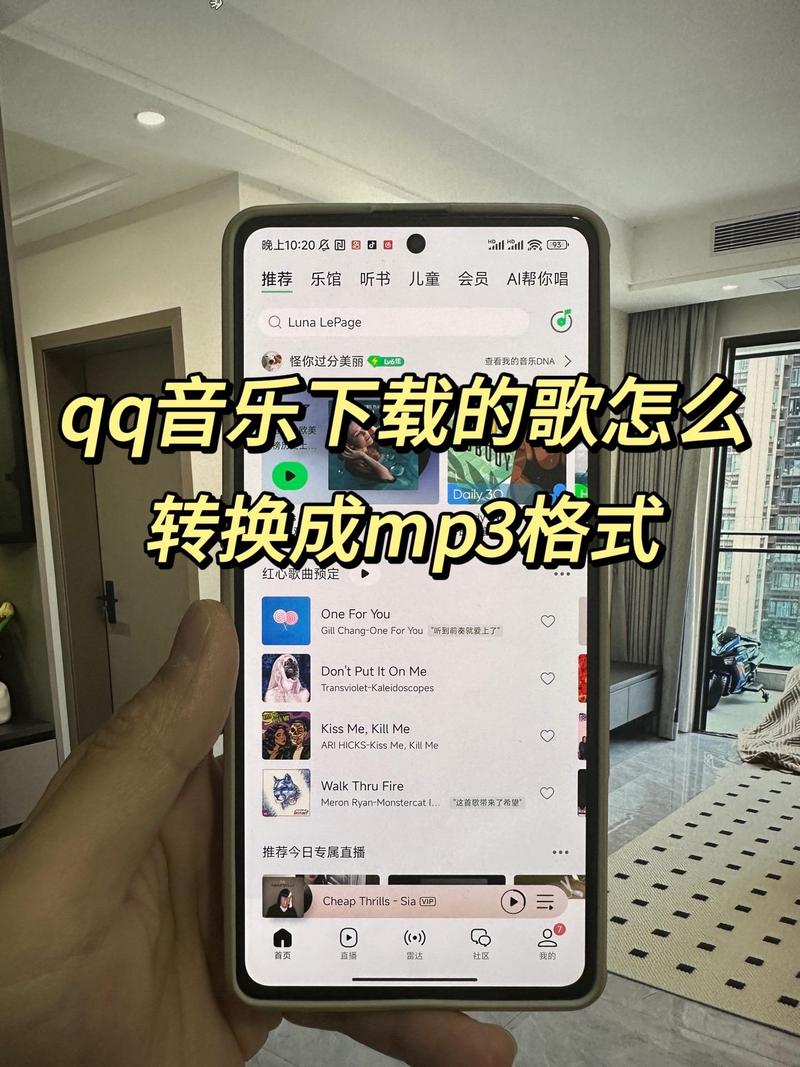 QQ音乐VIP