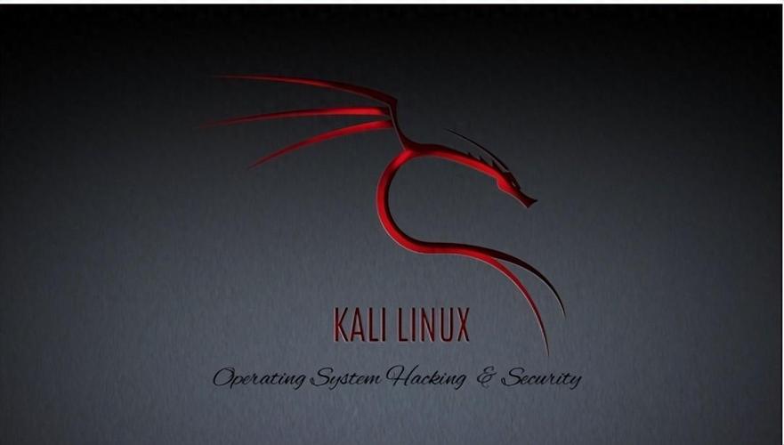 kalilinux官网中文版永久免付费版