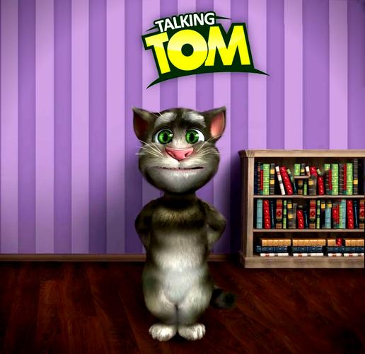 会说话的汤姆猫2010版